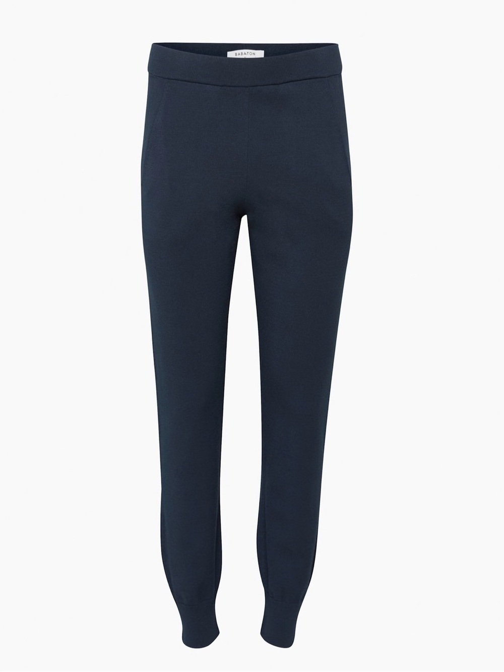 Aritzia babaton Rodin Jogger